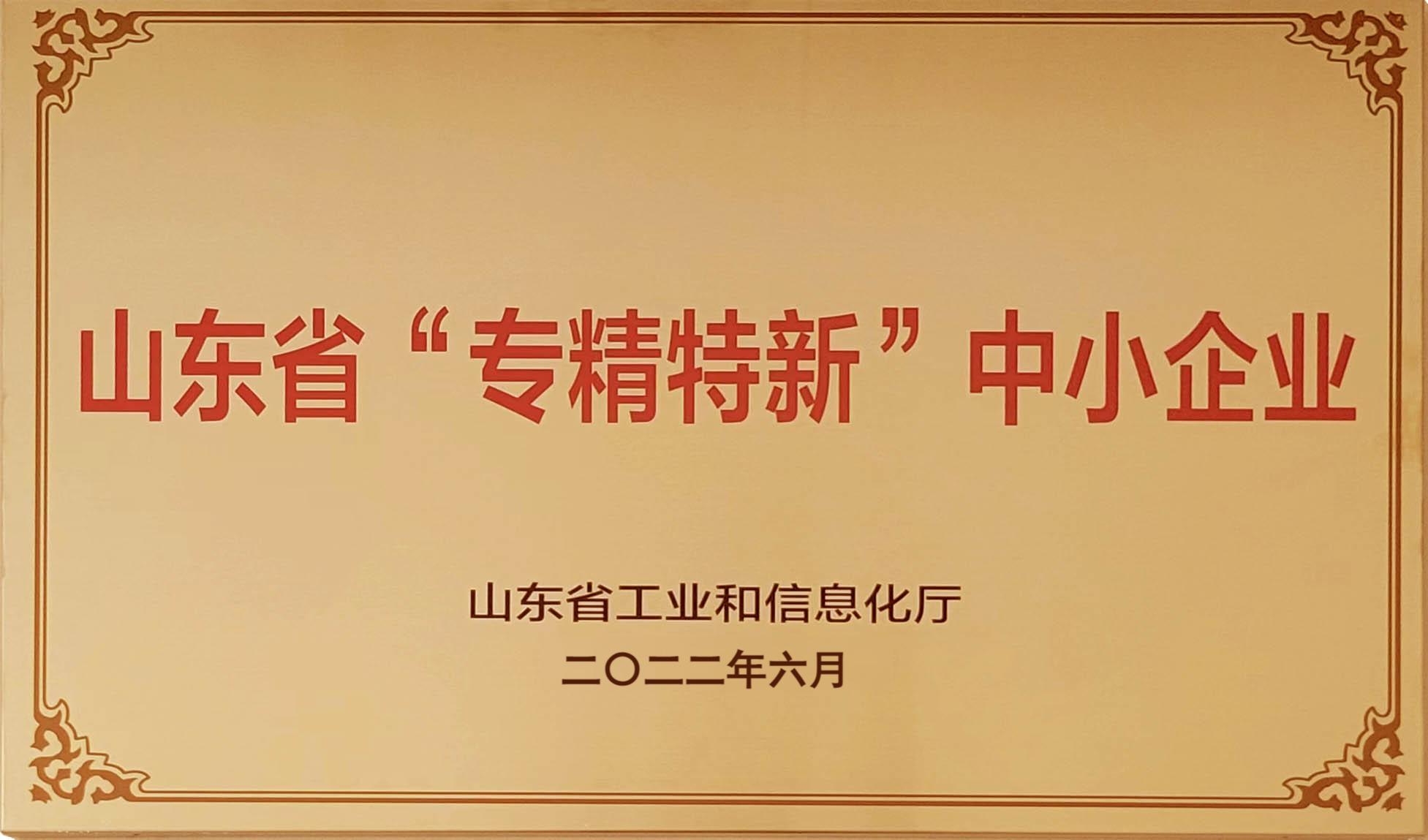 12.专精特新中小企业