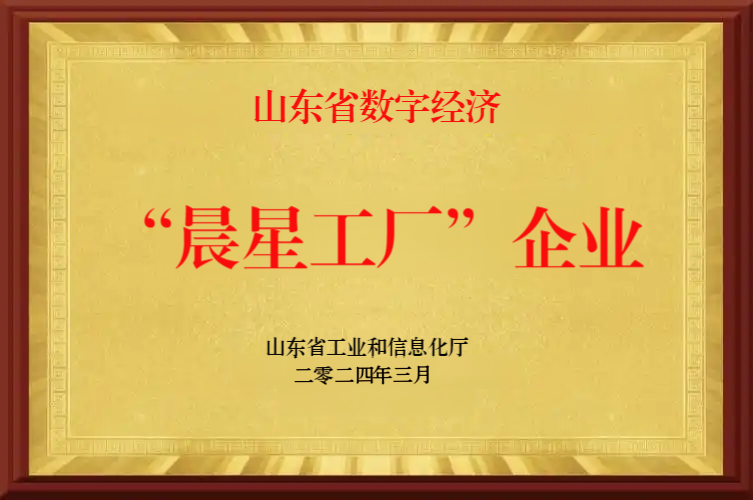 9.山东省数字经济“晨星工厂”
